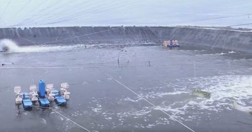 每个企业都是防疫网格 复工复产双胜利丨惠东水产品触网，助力走出滞销困境