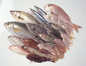 2016年1-9月龙岩市水产品零售价格形势分析