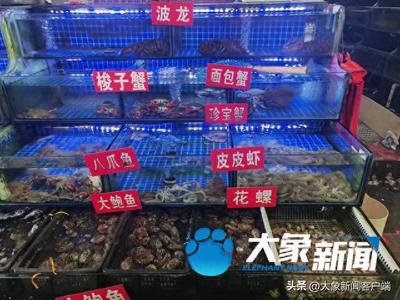 多涨了三五块！'双节'前河南水产价格小幅上涨